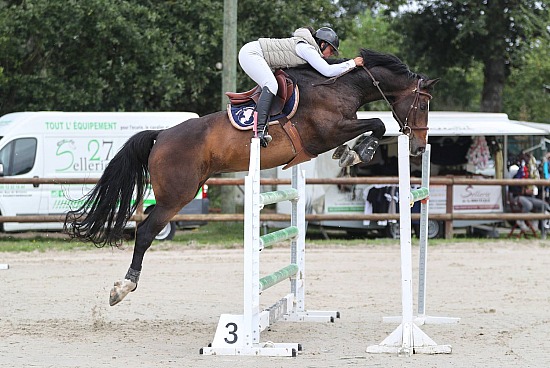 30-31 Aout et 1er Septembre 2024 : Parc équestre des Sablons, Val de Reuil - CSO Amateur, Pro & Préparatoire