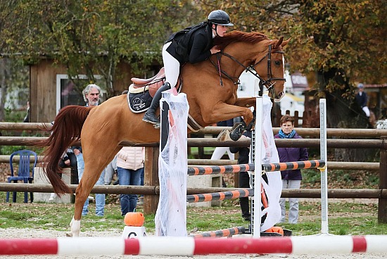 10 Novembre 2024 : Parc équestre des Sablons, Val de Reuil - CSO Club, Poney & Préparatoire